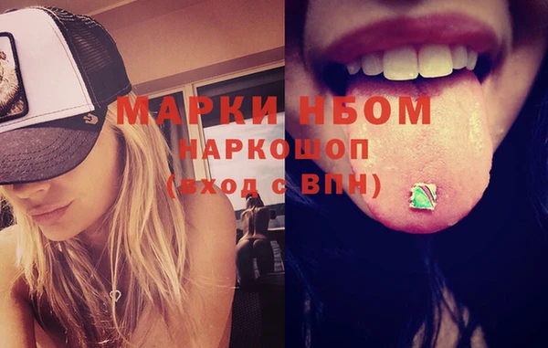 метадон Богданович