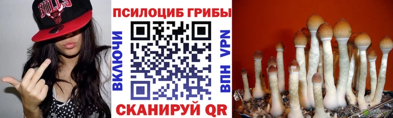 купить наркотик Большой Камень hydra зеркало Галлюциногенные грибы ЛСД